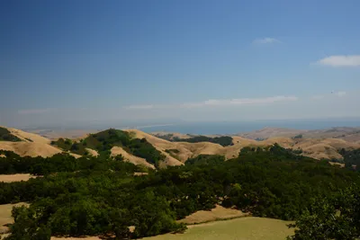 DSC_2491 (Large).JPG